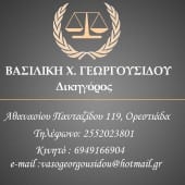 ΒΑΣΙΛΙΚΗ ΓΕΩΡΓΟΥΣΙΔΟΥ ΒΑΣΙΛΙΚΗ ΓΕΩΡΓΟΥΣΙΔΟΥ