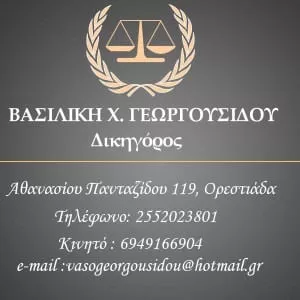 ΒΑΣΙΛΙΚΗ ΓΕΩΡΓΟΥΣΙΔΟΥ ΒΑΣΙΛΙΚΗ ΓΕΩΡΓΟΥΣΙΔΟΥ